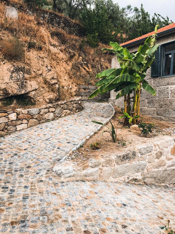 Bed and Breakfast Quinta Do Fojo Valonguinho, Barro Barro  Exterior foto